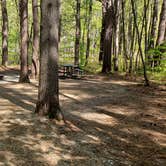 Review photo of White Lake State Park Campground by Jean C., June 10, 2019