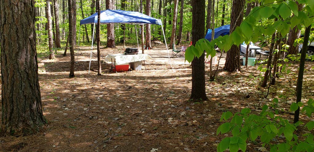 Jean C.'s photo at White Lake State Park Campground near Chocorua, NH