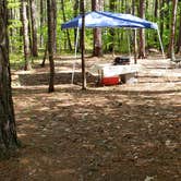 Review photo of White Lake State Park Campground by Jean C., June 10, 2019