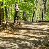 Review photo of White Lake State Park Campground by Jean C., June 10, 2019