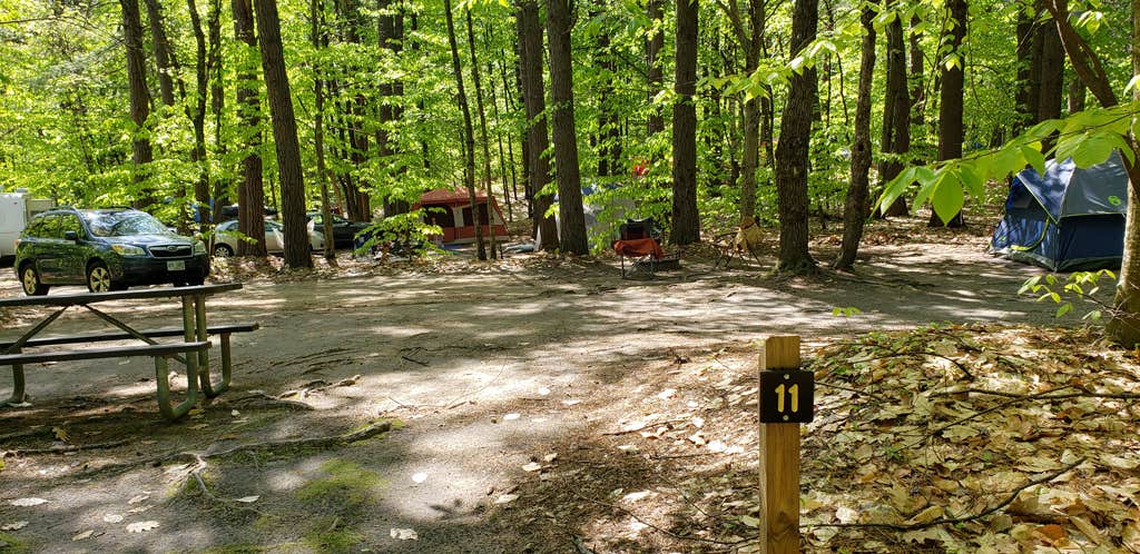Jean C.'s photo at White Lake State Park Campground near Hales Location, NH