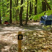 Review photo of White Lake State Park Campground by Jean C., June 10, 2019