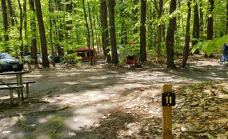 Jean C.'s photo at White Lake State Park Campground near Hales Location, NH