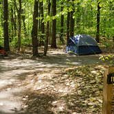 Review photo of White Lake State Park Campground by Jean C., June 10, 2019