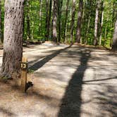 Review photo of White Lake State Park Campground by Jean C., June 10, 2019