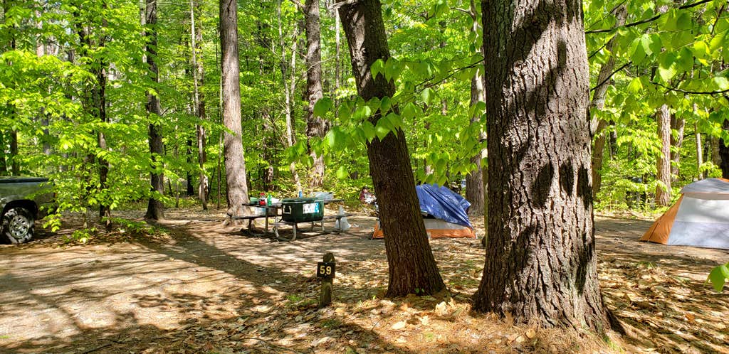 Jean C.'s photo at White Lake State Park Campground near Madison, NH