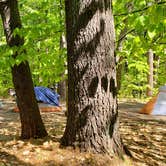 Review photo of White Lake State Park Campground by Jean C., June 10, 2019