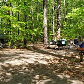 Review photo of White Lake State Park Campground by Jean C., June 10, 2019