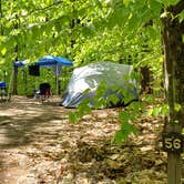 Review photo of White Lake State Park Campground by Jean C., June 10, 2019