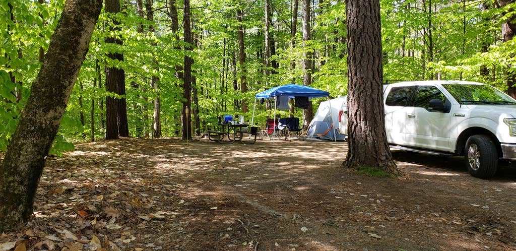 Jean C.'s photo at White Lake State Park Campground near North Sandwich, NH