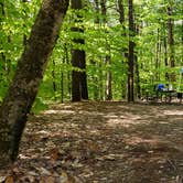 Review photo of White Lake State Park Campground by Jean C., June 10, 2019