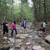 Review photo of White Lake State Park Campground by Jean C., June 10, 2019