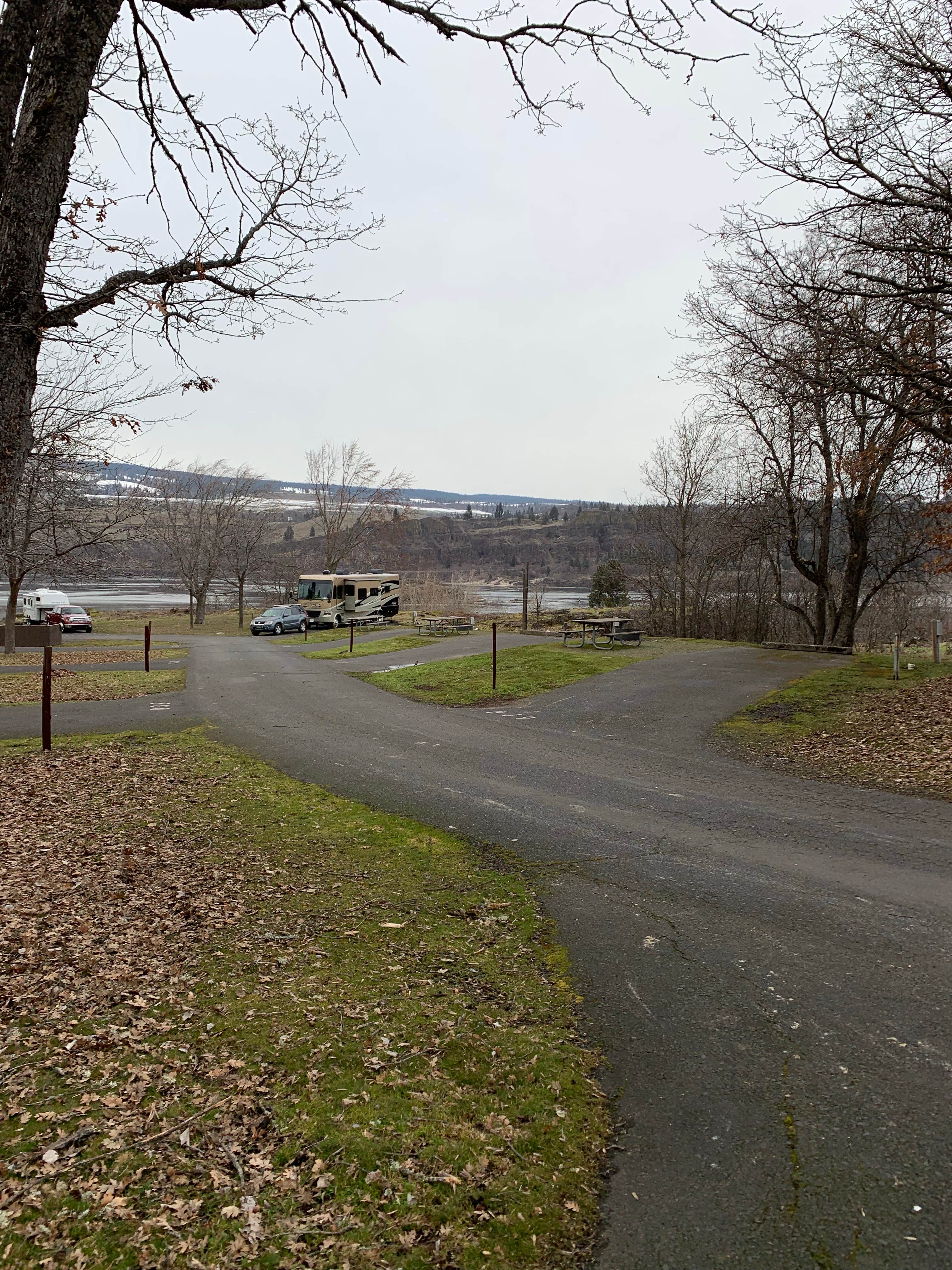 Camper-submitted photo at Memaloose State Park Campground near Trout Lake, WA