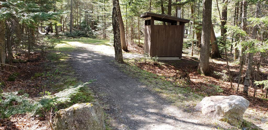 Camper submitted image from Rowell Cove Campground — Lily Bay State Park - 2