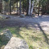 Review photo of Rowell Cove Campground — Lily Bay State Park by Jean C., June 10, 2019