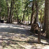 Review photo of Rowell Cove Campground — Lily Bay State Park by Jean C., June 10, 2019