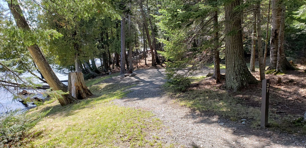 Camper submitted image from Rowell Cove Campground — Lily Bay State Park - 5