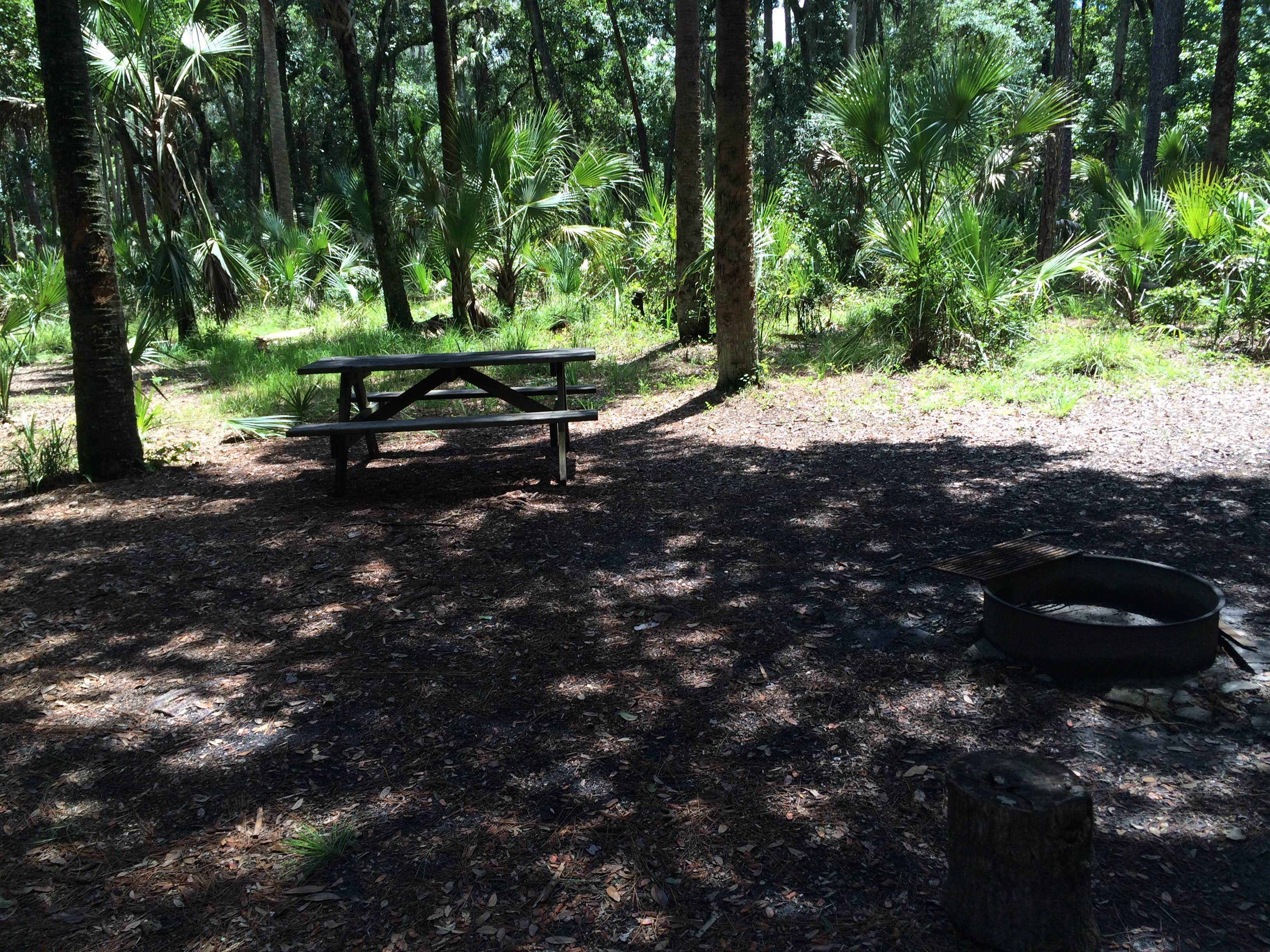 Camper submitted image from Hontoon Island State Park Campground - 5