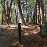 Review photo of Rowell Cove Campground — Lily Bay State Park by Jean C., June 10, 2019