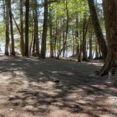 Review photo of Rowell Cove Campground — Lily Bay State Park by Jean C., June 10, 2019