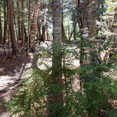 Review photo of Rowell Cove Campground — Lily Bay State Park by Jean C., June 10, 2019