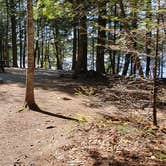 Review photo of Rowell Cove Campground — Lily Bay State Park by Jean C., June 10, 2019