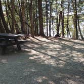 Review photo of Rowell Cove Campground — Lily Bay State Park by Jean C., June 10, 2019