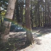 Review photo of Rowell Cove Campground — Lily Bay State Park by Jean C., June 10, 2019