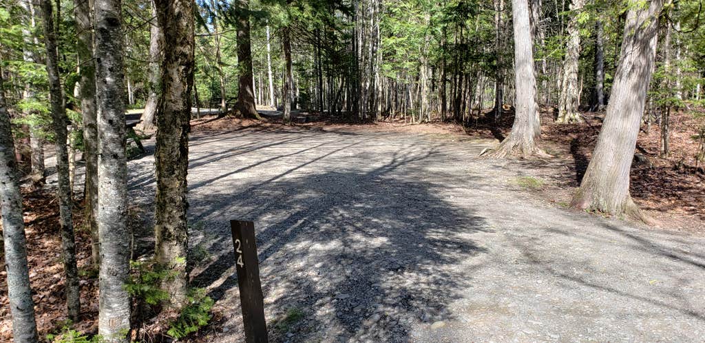 Camper-submitted photo at Rowell Cove Campground — Lily Bay State Park near Caratunk, ME