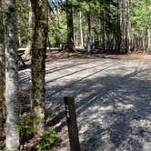 Review photo of Rowell Cove Campground — Lily Bay State Park by Jean C., June 10, 2019