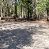 Review photo of Rowell Cove Campground — Lily Bay State Park by Jean C., June 10, 2019