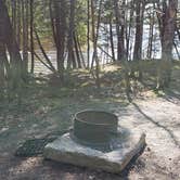 Review photo of Rowell Cove Campground — Lily Bay State Park by Jean C., June 10, 2019