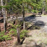 Review photo of Rowell Cove Campground — Lily Bay State Park by Jean C., June 10, 2019