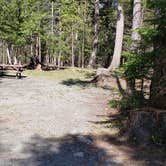 Review photo of Rowell Cove Campground — Lily Bay State Park by Jean C., June 10, 2019