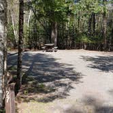 Review photo of Rowell Cove Campground — Lily Bay State Park by Jean C., June 10, 2019