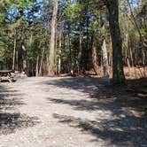 Review photo of Rowell Cove Campground — Lily Bay State Park by Jean C., June 10, 2019