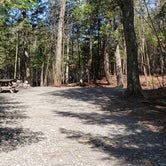 Review photo of Dunn Point Campground — Lily Bay State Park by Jean C., June 10, 2019