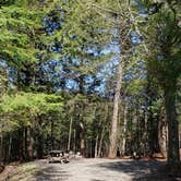 Review photo of Rowell Cove Campground — Lily Bay State Park by Jean C., June 10, 2019