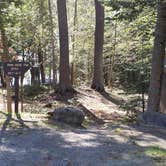 Review photo of Rowell Cove Campground — Lily Bay State Park by Jean C., June 10, 2019