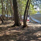 Review photo of Rowell Cove Campground — Lily Bay State Park by Jean C., June 10, 2019