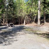 Review photo of Rowell Cove Campground — Lily Bay State Park by Jean C., June 10, 2019