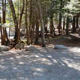 Review photo of Rowell Cove Campground — Lily Bay State Park by Jean C., June 10, 2019