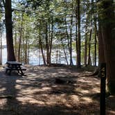 Review photo of Rowell Cove Campground — Lily Bay State Park by Jean C., June 10, 2019