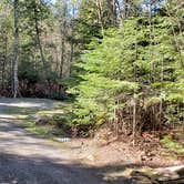 Review photo of Rowell Cove Campground — Lily Bay State Park by Jean C., June 10, 2019