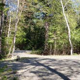 Review photo of Rowell Cove Campground — Lily Bay State Park by Jean C., June 10, 2019