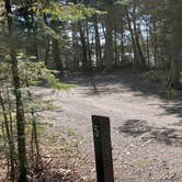 Review photo of Rowell Cove Campground — Lily Bay State Park by Jean C., June 10, 2019