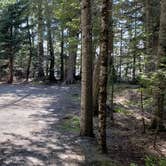 Review photo of Rowell Cove Campground — Lily Bay State Park by Jean C., June 10, 2019