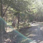 Review photo of Rowell Cove Campground — Lily Bay State Park by Jean C., June 10, 2019