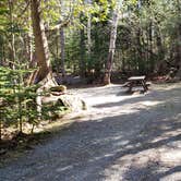 Review photo of Rowell Cove Campground — Lily Bay State Park by Jean C., June 10, 2019