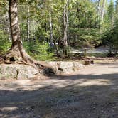 Review photo of Rowell Cove Campground — Lily Bay State Park by Jean C., June 10, 2019